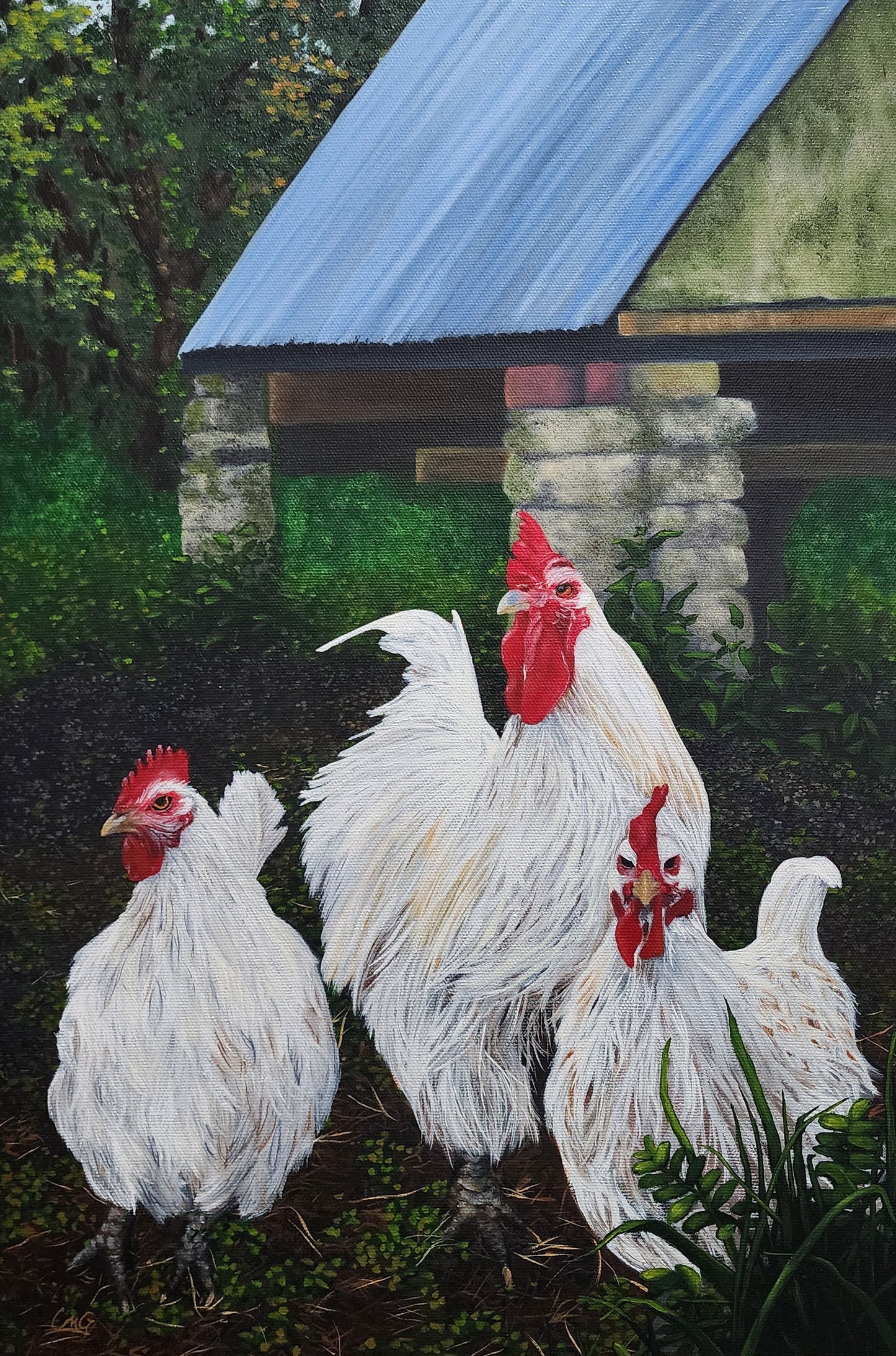 Three's Company - an original oil painting of 3 white hens in a rural setting