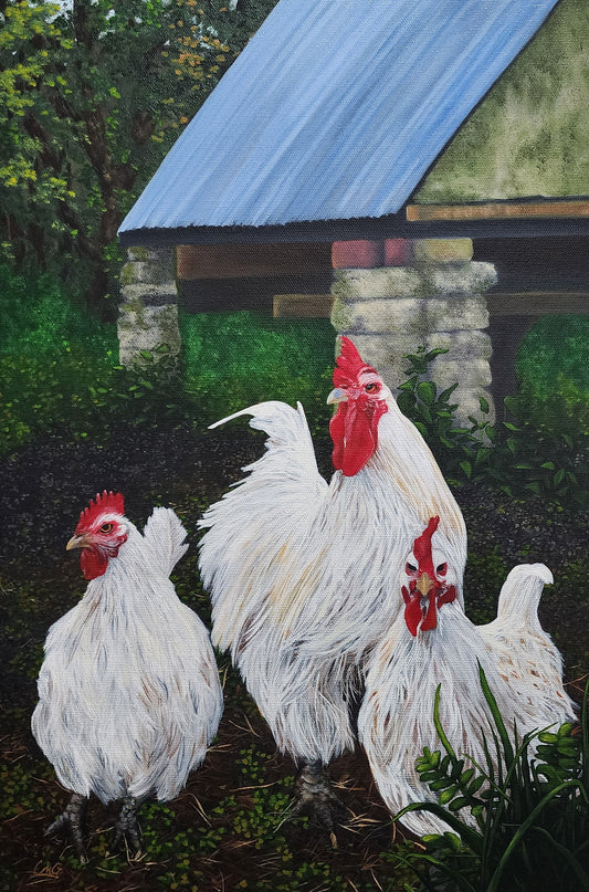Three's Company - an original oil painting of 3 white hens in a rural setting