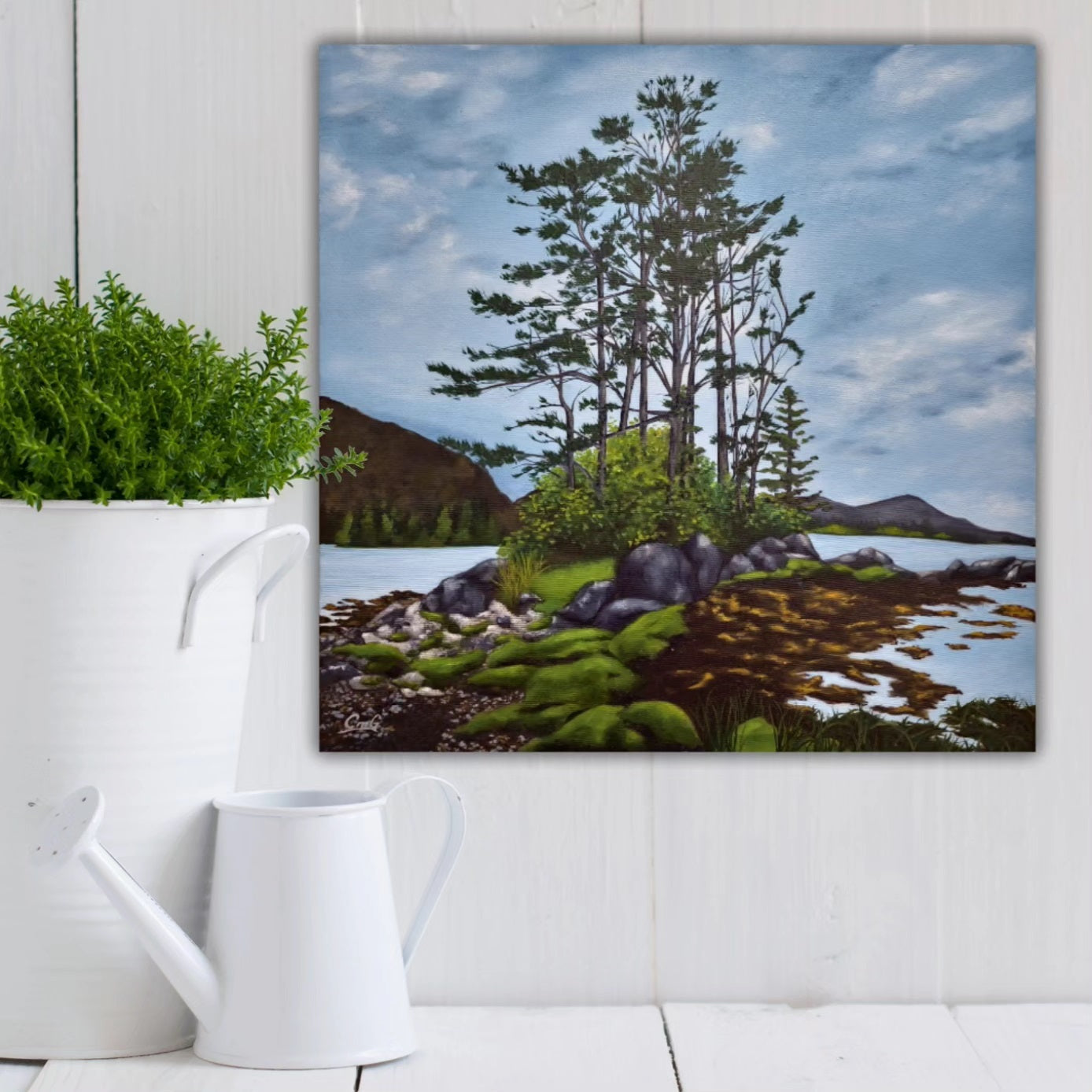 Christina Gouldsborough Canadian landscape artist's original oil painting of windswept pine trees on a rocky shore, hanging behind a white potted  plant and watering can, on a white panel wall