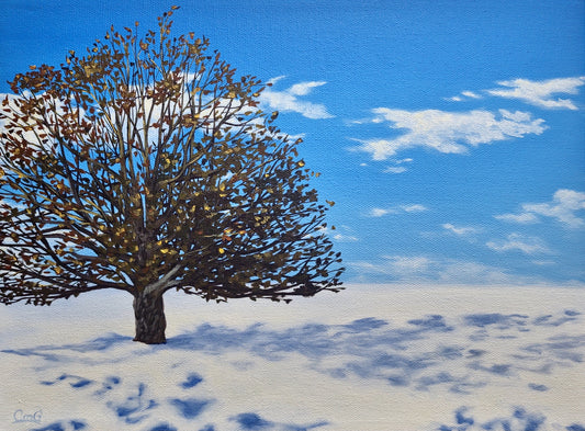 The Beauty of Solitude