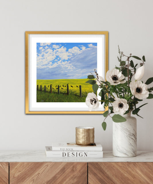 Blackbird Chorus - a fine art print of crows on a wire fence in front of a canola field on a bright sunny day with double matt and frame