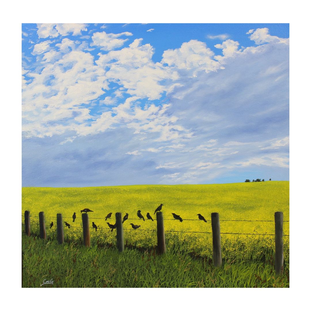 Blackbird Chorus - a fine art print of crows on a wire fence in front of a canola field on a bright sunny day