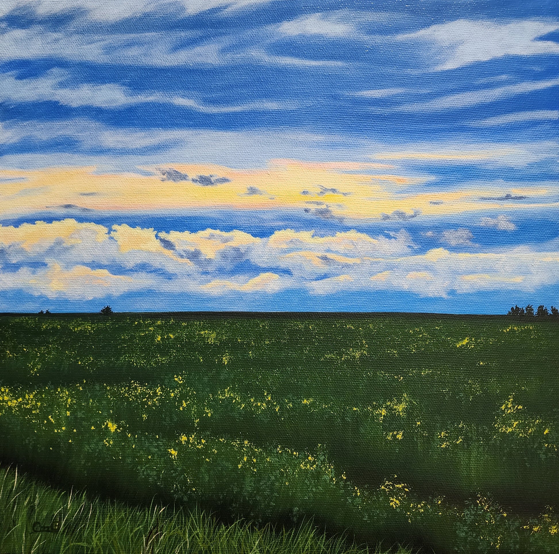 After the Rain Canadian landscape painting of a summer canola field after a rain storm by Christina Gouldsborough