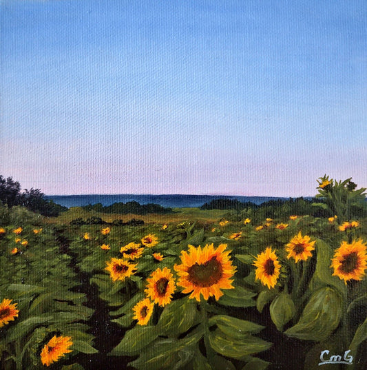 Original oil landscape of August sunflowers