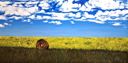 Bumper Crop - Original 24"x48" oil on canvas landscape of a canola field with wild grass and a single hay bale in front and puffy white clouds moving across the bright blue sky - Christina Gouldsborough