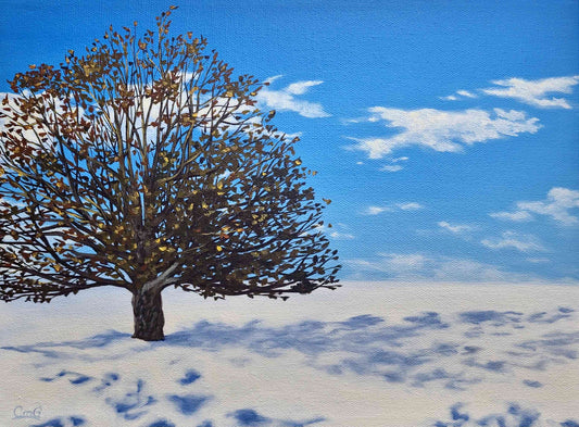 Christina Gouldsborough Landscape Artist - Oil Painting of willow tree in winter. 