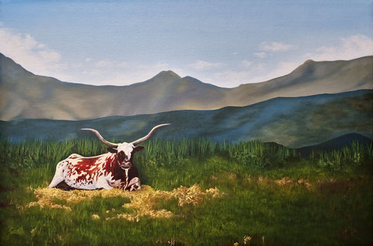 Take No Bull an original 12"x18" oil painting of a longhorn cow sitting down in front of the shadows of the foothills