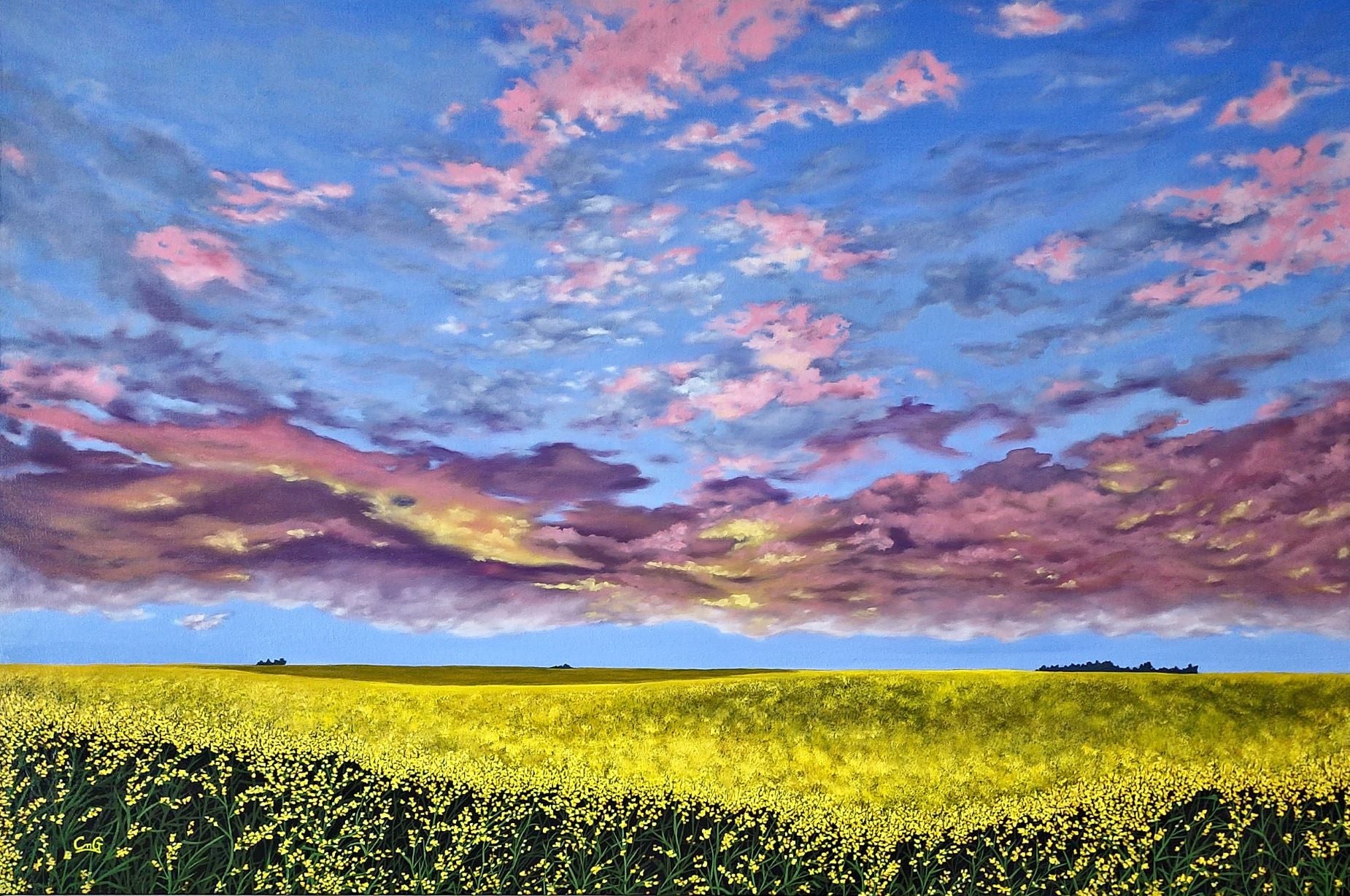 Oil on canvas landscape painting of a pink purple and yellow sunrise over a bright yellow canola field