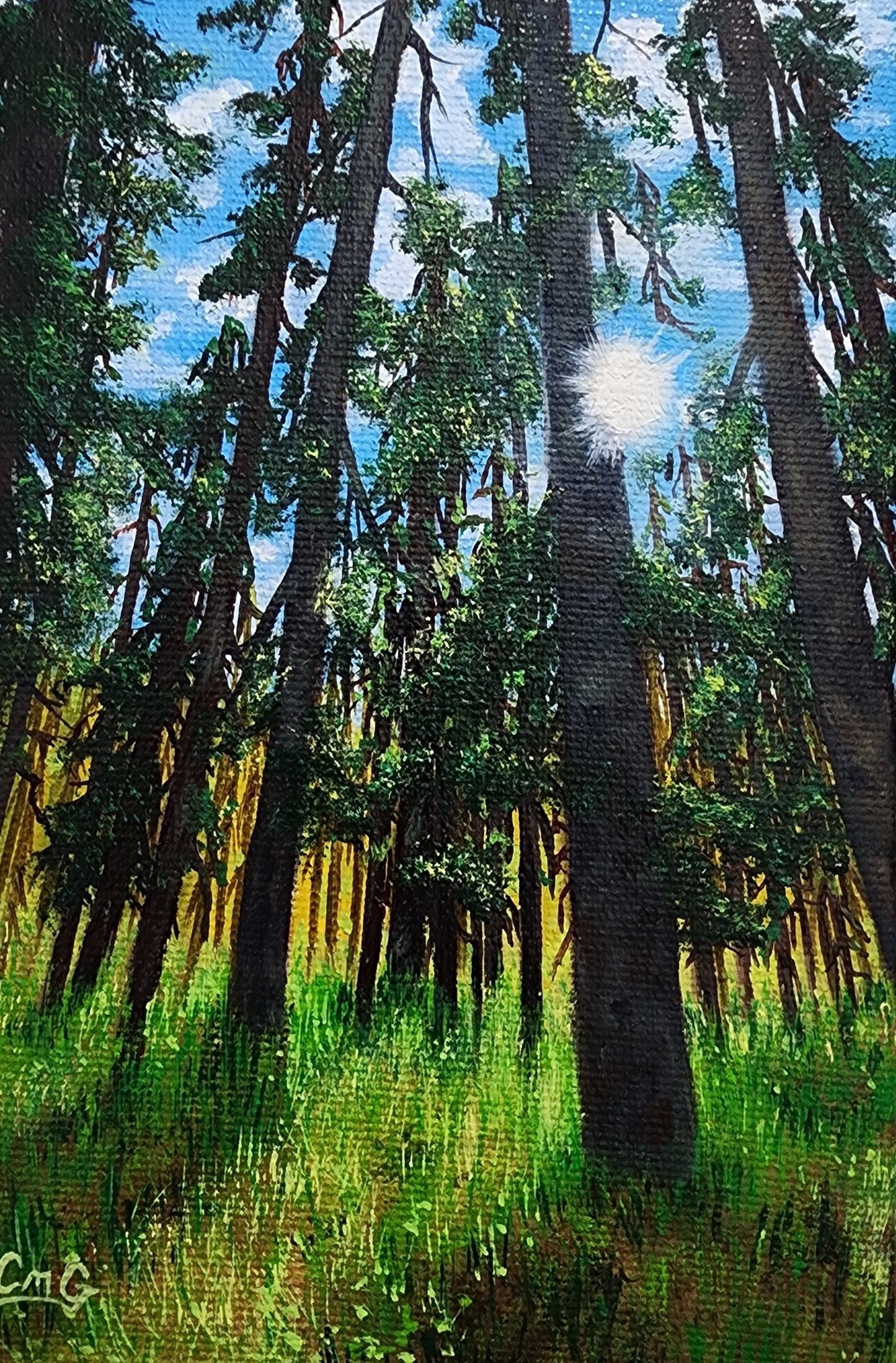 Sunbeams - original oil painting of sun streaming through a forest onto the forest floor 4x6