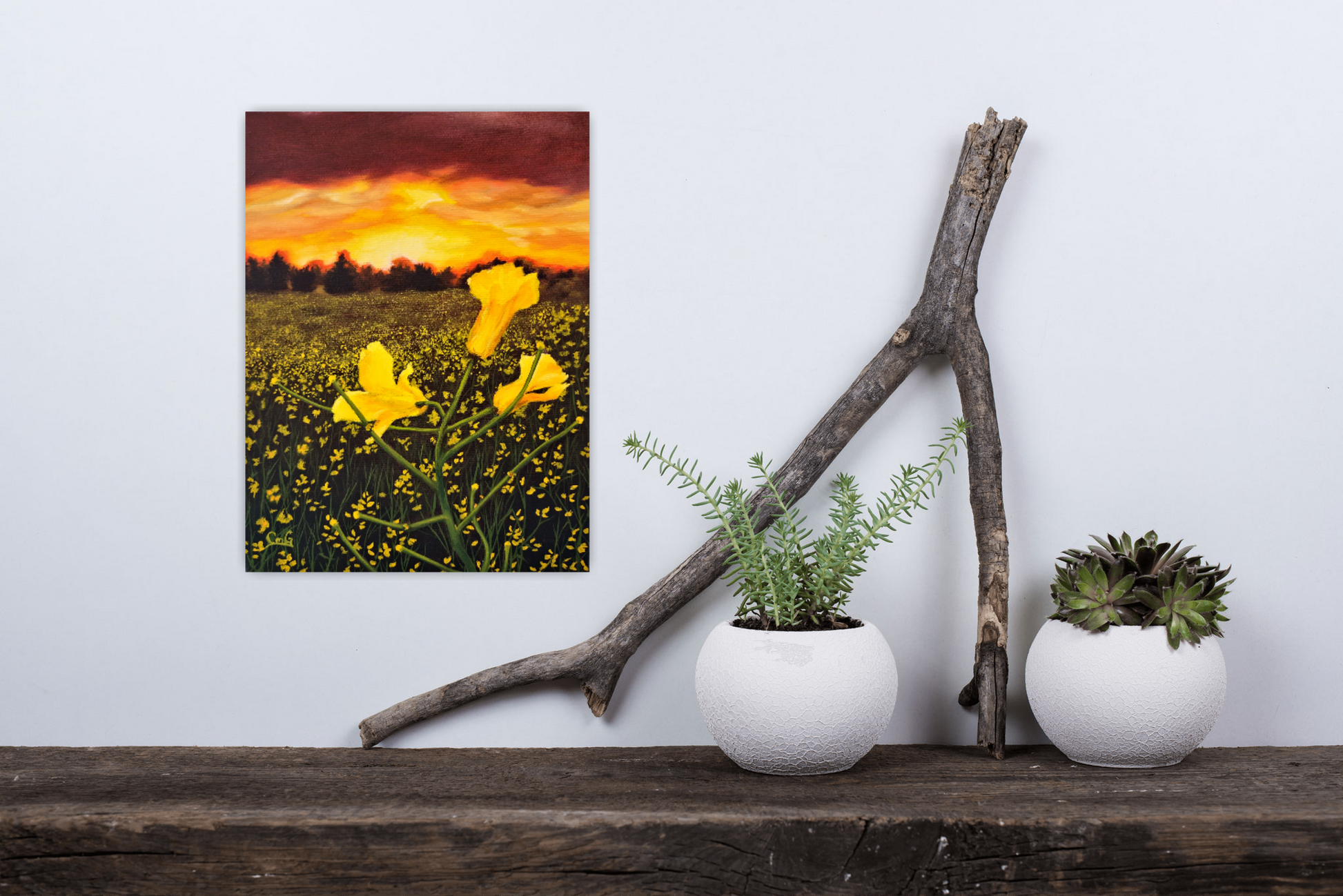 wood mantle with white potted plants and driftwood and a landscape painting of canola flowers at sunset hanging behind