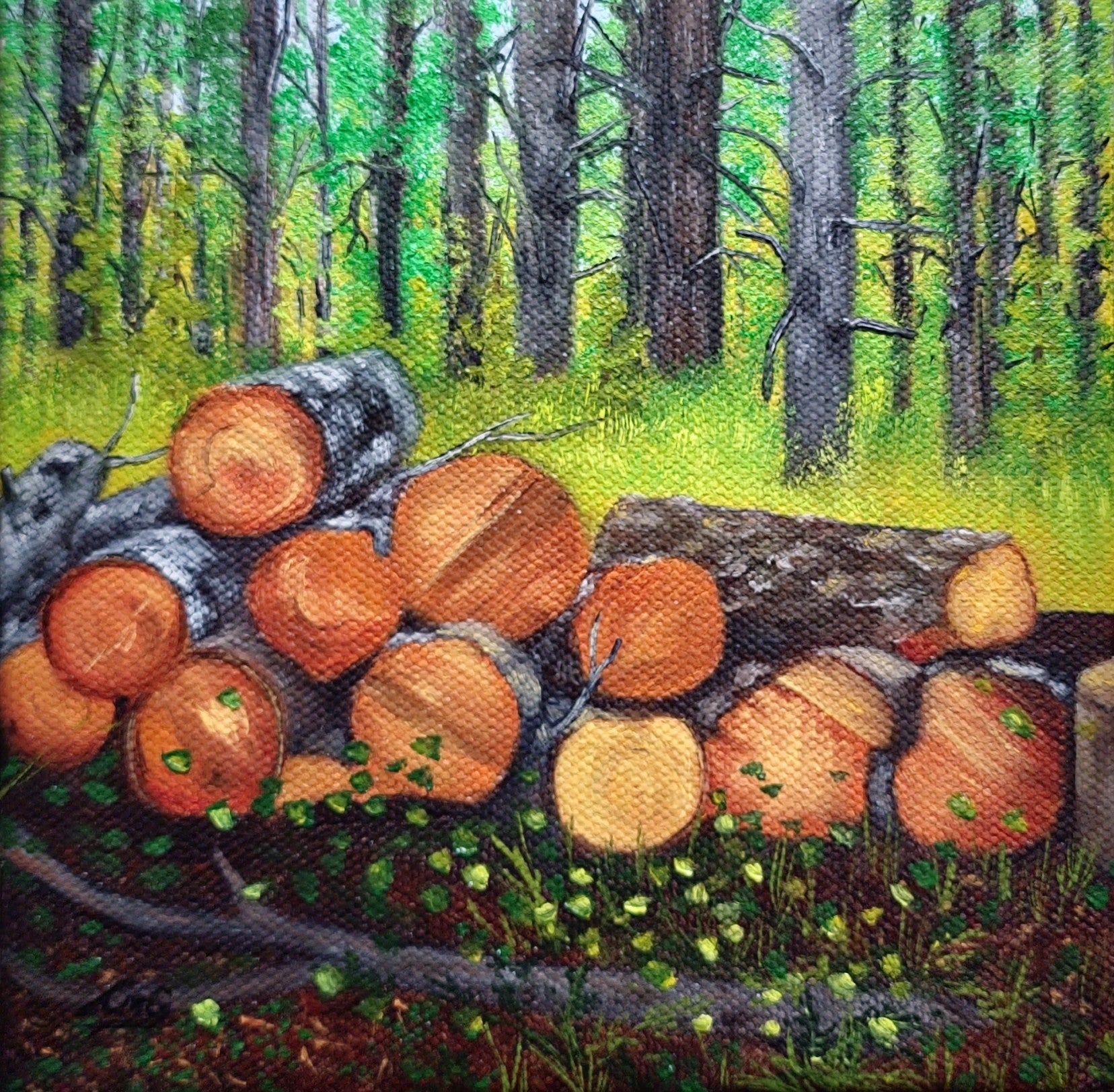 Woodpile is a small 6x6 oil painting of a forest with cut trees
