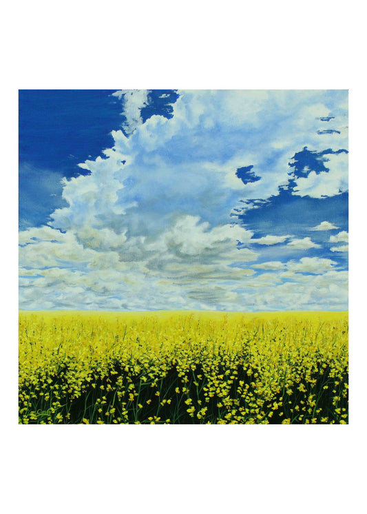 Blue Sky Yellow Field Original Art Greeting Card