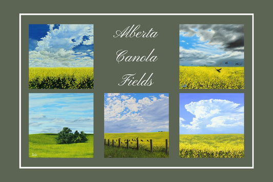 Alberta Canola Fields Postcard of 5 original artworks